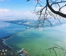  滇池黑豹队对阵粤西鲸鲨队，冲浪淘汰赛失利，内线统治篮板——复盘值得玩味