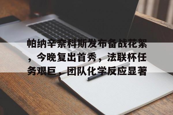 包含帕纳辛奈科斯发布备战花絮，今晚复出首秀，法联杯任务艰巨，团队化学反应显著的词条-kaiyun